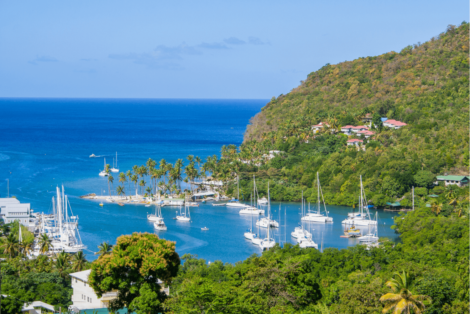 St Lucia and Antigua